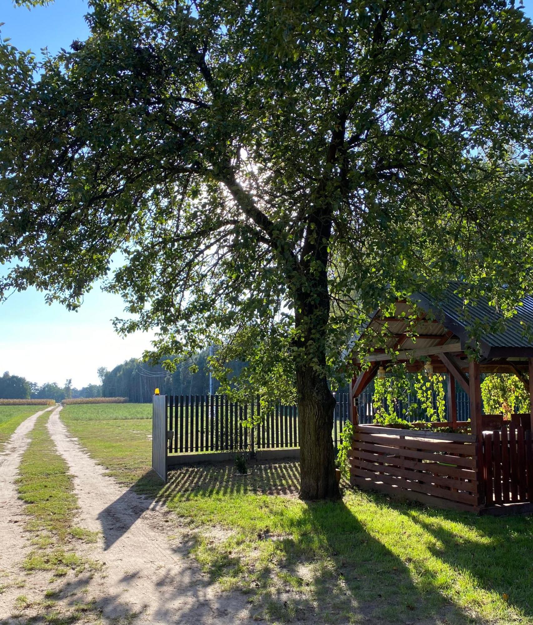 Maciejowka Gospodarstwo Agroturystyczne Poddebice Esterno foto