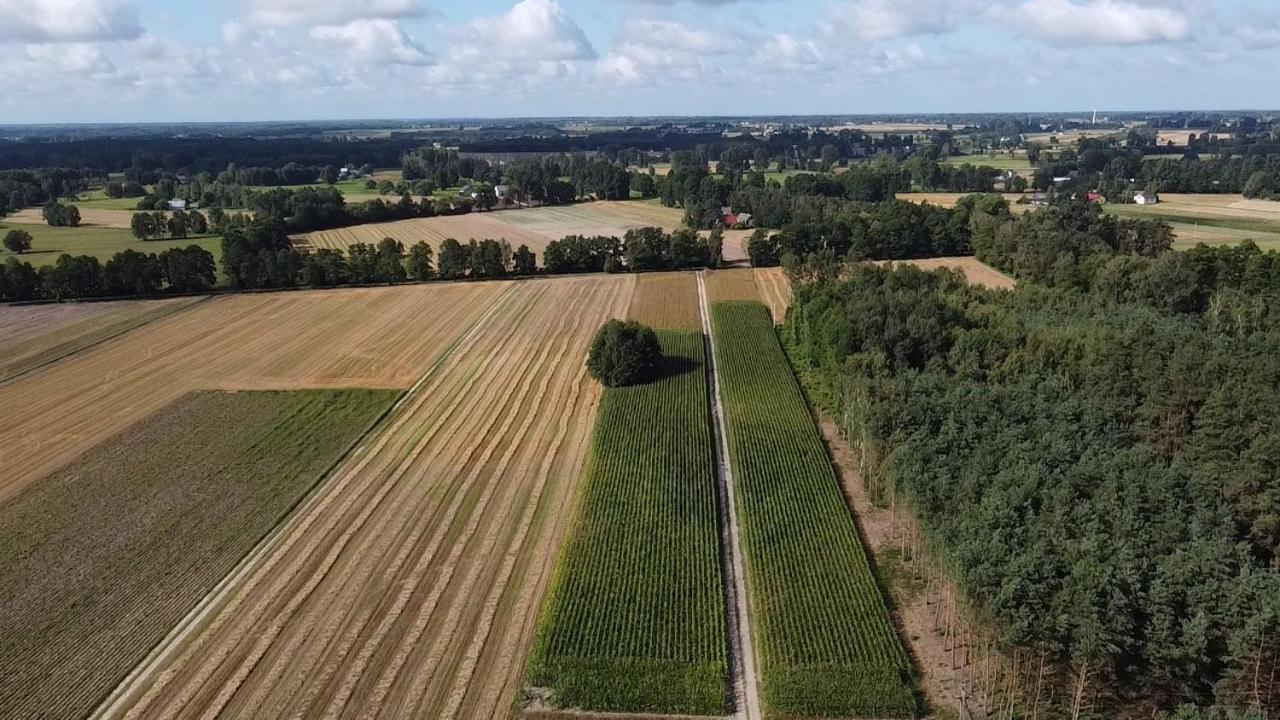 Maciejowka Gospodarstwo Agroturystyczne Poddebice Esterno foto